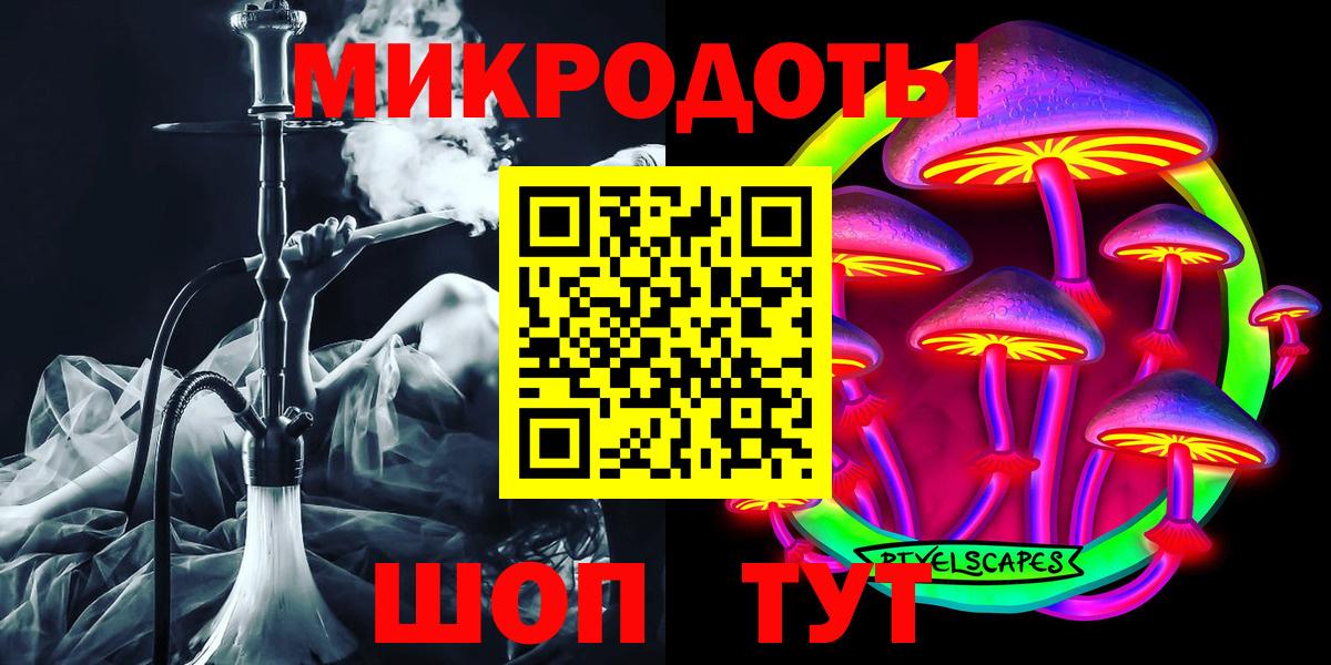 Балаково  Псилоцибиновые грибы Psilocybe  Вход с VPN 